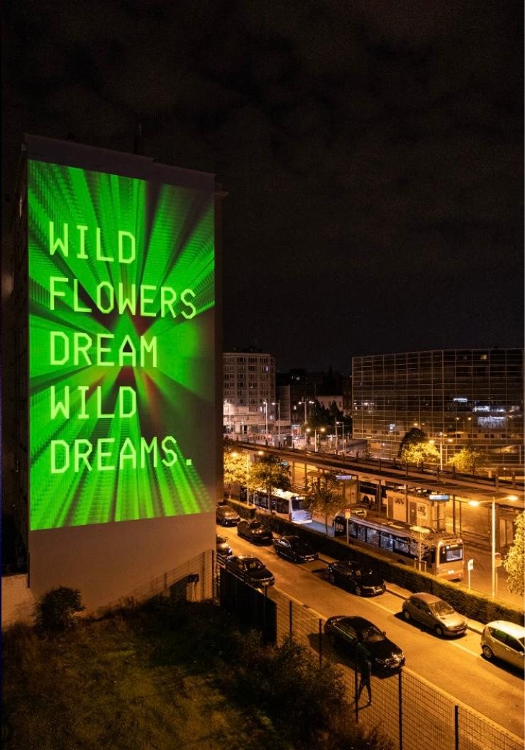 Sasha Stiles projection, Wildflower, in Brussels